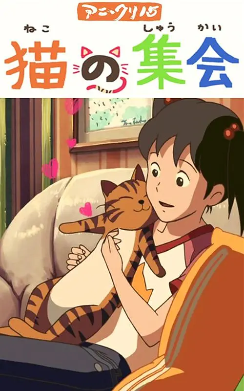 美女网站黄